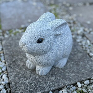 e ijETM e u u  GgX  K[f IuWF CeA @̔e ETM N K[fjO 