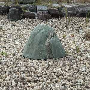 i ɗ\ 5 QY VR 뉀 ΂̑ R    K[fjO K[f