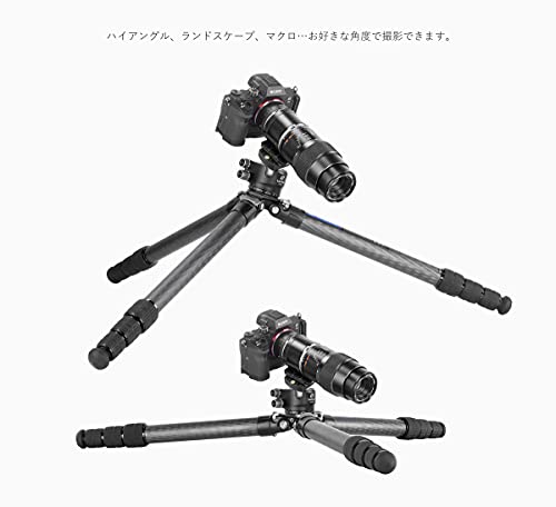 新品入荷 レオフォト LS-324C LH40レンジャー三脚雲台セット カメラ