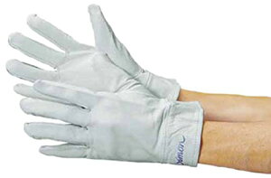 [V] {v t VS CG-715 L zCg