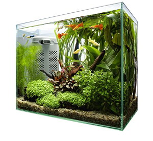 eg (Tetra) eg TCgtbNXZbg 30 KX  ANAE Mы _J  ̑ 