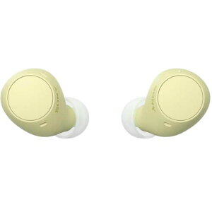^SCX WF-C510 XeIwbhZbg ubN zCg u[ CG[ ^yʐ݌v O荞 hH\ Oobe[ nYt[ʘb 360 Reality Audio SONY \j[