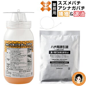 XYo` AViKo` E ő3,000~N[| Ɩp n`oX^[PRO  Uߊl IoX^[ ߊl ߊl ގ Q쏜 쏜 nG K RKlV n`쏜 XYo