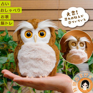 nbs[ӂ낤 㕥IyɗVׂ˓drtz   ӂ낤 tNE ʂ ^Jg~[A[c ybg ׂ 肢 ]g    6