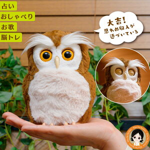 nbs[ӂ낤 ő3,000~N[|   ӂ낤 tNE ʂ ^Jg~[A[c ybg ׂ 肢 ]g    60s bnm