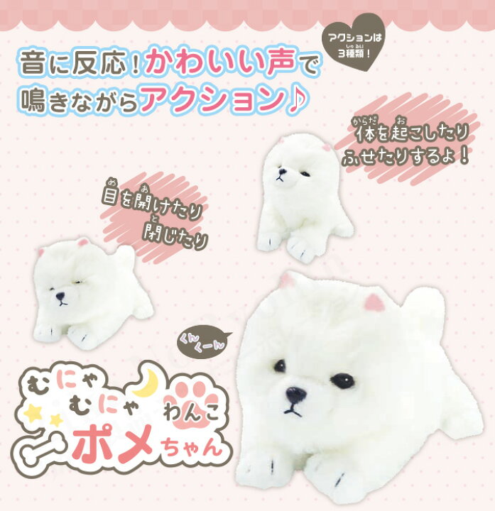 楽天市場】むにゃむにゃわんこ ポメちゃん ☆後払い可！ 【包装無料 