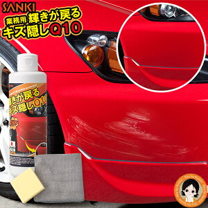 LYB Q10 XNb`[o[ 㕥I Ɩp P߂ LYBQ10 250g  Ɩp Ԃ̃LYB Q10 { q10 OH op[ LYB B LY XNb`