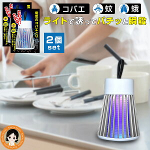 RoG dC y2Zbgző3,000~N[| dC̃RoG 2set  dC̃RoGƂ 쏜 ObY dC  dE dC t˖ UVU ߒ