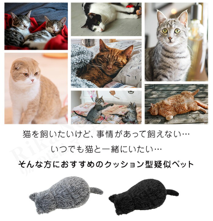 楽天市場 300円レビュークーポン すぐに遊べる 単4電池付き 包装無料 Meowever ミャウエバー 送料無料 猫 ぬいぐるみ 猫みたいなクッション 鳴く 猫のぬいぐるみ フェリシモ 猫部 ネコ ねこ グッズ 100s Bnm りかの良品