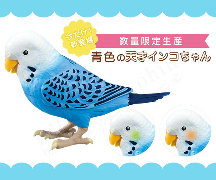 楽天市場 あす楽 後払い可 選べるおまけ 毎日おしゃべり 天才インコちゃん 青色 黄色 送料無料 タカラトミー しゃべる 人形 セキセイインコ 脳トレ お喋り 高齢 60s Bnm りかの良品