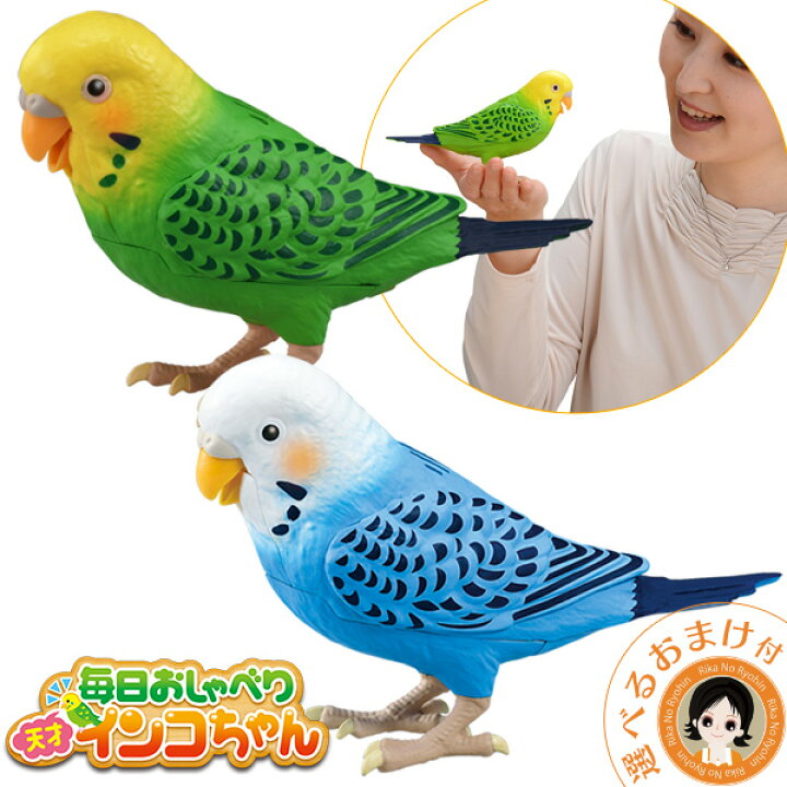 楽天市場】天才インコちゃん ☆最大4,000円クーポン選べるおまけ 
