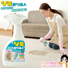 楽天市場 ソファー 洗剤 柔軟剤 クリーナー 日用消耗品 日用品雑貨 文房具 手芸の通販