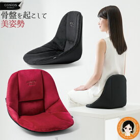 美姿勢 コシオス プレミアム ★後払い可！☆ cosios PREMIUM コシオスプレミアム 送料無料 男女兼用 美姿勢 座る 骨盤 姿勢 背中 オフィス テレワーク 畳 フローリング 車 ダイニング 椅子 腰がラクになるクッション 日本経済新聞 紹介 RSL発送 rlt 100s sdf