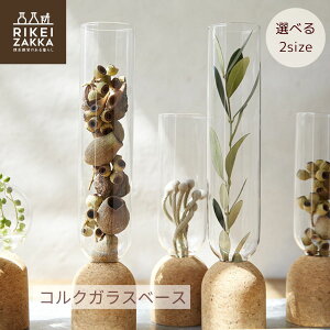 RNKXx[X coruru ^ t[x[X ԕr Ԋ  RN KX  hCt[ CeA  Mtg NC winter