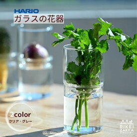 HARIO ガラスの花器 ／ 花器 水耕栽培 おしゃれ シンプル 耐熱ガラス ハリオ フラワーベース 花瓶 花 ドライフラワー ガラス