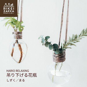 HARIO RELAXING ݂艺ԕr ^  ܂ t[x[X ԕr Ԋ ֑}  k͔| KX Vv R nI