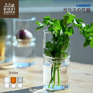 HARIO KX̉Ԋ ^ Ԋ k͔|  Vv ϔMKX nI t[x[X ԕr   hCt[ KX