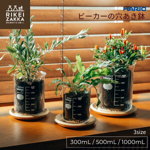r[J[̌ ^ 300mL 500mL 1000mL 3TCY 3 4 Aؔ 󂯎M YqmL KX r[J[ Vv CeA  A { HARIO nITCGX