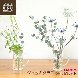 yzWbLOX 300mL 2Zbg ^ yAOX t g[r[J[ T[o[ R[q[T[o[ WbL rAOX rAWbL OX r[  R[q[ Mtg 