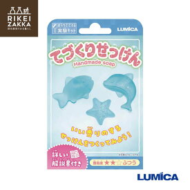 【ゆうパケット対応】 おうちでできる実験キット 『てづくりせっけん』 ／ 化学 科学 自由 研究 好奇心 おうちで 実験 キット ふしぎな 小学生 ルミカ E30023 販促品 粗品 ノベルティ