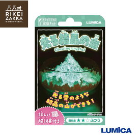 【ゆうパケット対応】 おうちでできる実験キット 『光る結晶の山』 ／ 化学 科学 自由 研究 好奇心 おうちで 実験 キット ふしぎな 小学生 ルミカ E30011 販促品 粗品 ノベルティ