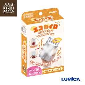 【ゆうパケット対応】おうちでできる実験キット『エコカイロの仕組みを知ろう』／ エコカイロ 手作り 実験セット 理科 科学 知育玩具 小学生 中学生 男の子 女の子 夏休み 冬休み 宿題 自由工作 誕生日 プレゼント ギフト クリスマス STEM 教育 ルミカ E30054