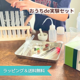 おうち de 実験セット ／ 誕生日プレゼント サイエンス 実験器具 おもちゃ ケース付き 実験 小学生 子供 3歳 4歳 5歳 6歳 7歳 8歳 9歳 男の子 女の子 孫 プレゼント 教育 科学 理科 割れない 安全 知育玩具 試験管 ギフト 正規 卒業祝い 入学祝い