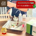 おうち de 実験セット ／ クリスマス クリスマスギフト クリスマスプレゼント 工作 キット 誕生日プレゼント 実験器具…