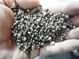 [送料無料]【天然粒状貝化石】10Kg・カルシウムミネラル肥料は植物に必要な栄養素です。