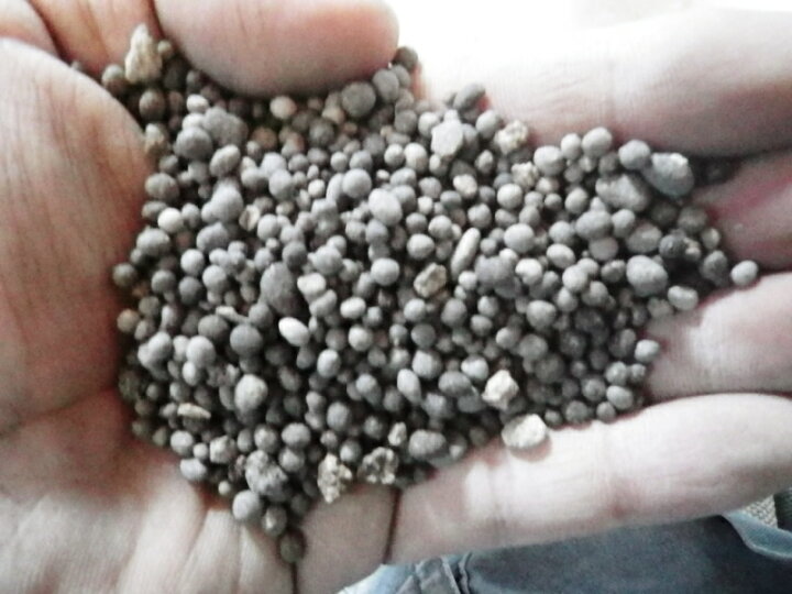 楽天市場 送料無料 天然粒状貝化石 10kｇ カルシウムミネラル肥料は植物に必要な栄養素です リコー農研