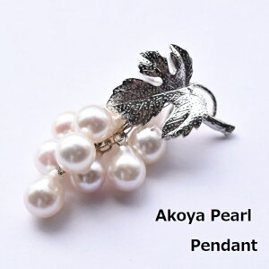 uhEy_g/Wy/^/Vo[/ty_g/I/w/Ǝ/v[g/{^/̓/tH[}/AM[/iۏ؏t/