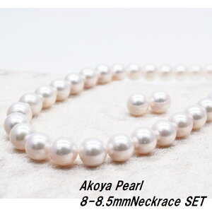 {^@lbNXZbg@8mm@8.5mm@{^Zbg@^@Y@Ԏ엎@sLbV@lbNX@lbNX@Vo[@^Zbg@K14WG@zCgS[h