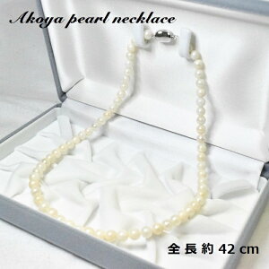 {^lbNX42cmy5-6.5mmz^/p[//lbNX/Akoya/Ew/v[g///tH[}/Vv/1A//IV//iۏ؏t/zCgf