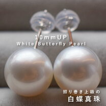 楽天市場】白蝶真珠 ピアスの通販