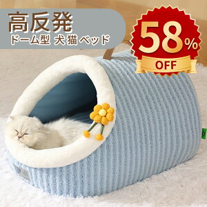 _10{|Cg^LpnEX ybgxbh Lp p ^ h[^ ~ ی^ ӂӂ _炩 ۉ g  NbV }bg  Vv ʔNp  |vs