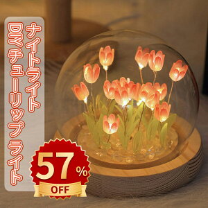 _10{|Cg^iCgCg xbhTChv DIY `[bv Cg e[uv v[g dr ԐڏƖ LEDCg }`bN NX}X VN a Mtg 蕨  