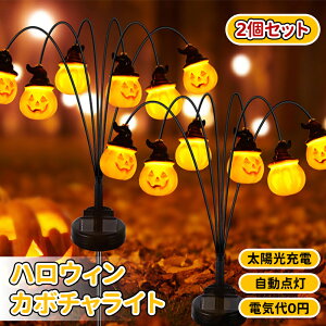 _10{|Cg^K[fCg nEB  nEB O \[[ ڂ჉Cg \[[ O P65h J{`C~l[VCg _  ȃGl Ɩ 