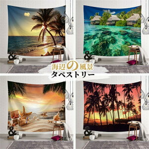 �^�y�X�g���[�Ǌ|�����R���i�ĊC�k���z����������肨�����r�[�`���r���O���[�����������X�ܑ������͋C�X������DIY�C�x���g�p�[�e�B�[���r���O�̏���C���e���A�C���]������\�V��