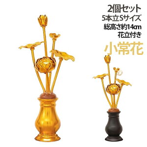 ����14cm���d�~�j2�Z�b�g5�{������14cm���Ԃ͂��͂ȉԗ�����Ԃ�������Ԙ@�Ԙ@�؏�ԃZ�b�g������d�p��������Ղ��~��������@���p�i᱗��~��~�V�~�Ւd�Ղ肨�~�p�i���ފ�