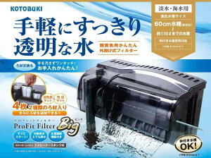 H| RguLH| vtBbgtB^[ Big 6W 