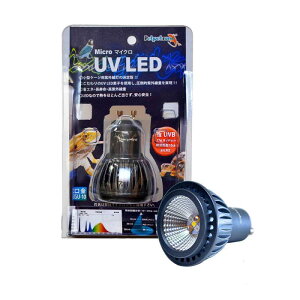 [XC }CN UV LED 