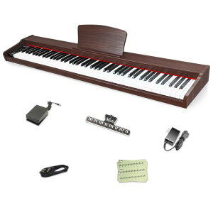 �y�ؐ��d�q�s�A�m �zLongeye �d�q�s�A�m 88���� MOLD2 ���{��\�L ��w�b�h�z�������g�p MIDI�[�q�Ή� 10mm�X�g���[�N 380��މ��F �ڒ� DREAM���� ���S�� ���K�Ƀs�b�^�� MIDI�Ή� �C���z�� ���{��