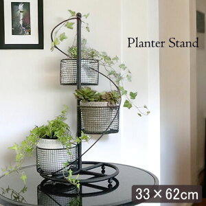 [P5{5,000~OFFN[|] 1127()1:59܂ ACA v^[X^h 3i  [sA  K[fjO Jo[ ԑ CeA | yz