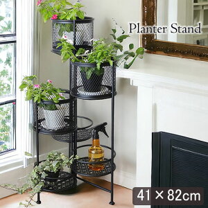 K[fjOACe ACA Ehv^[X^h 52cm ԑ t[X^h ی^  [sA NVbN yz