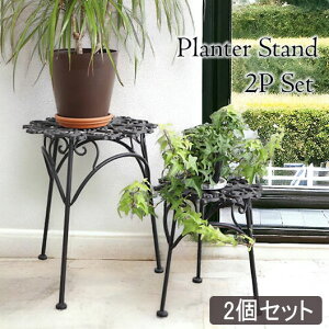 [P5{5,000~OFFN[|] 1127()1:59܂ K[fjOACe AeB[N ACAX^h 2_Zbg ԑ  [sA | K[f  yz