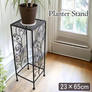 yP×5{/5,000~OFFN[|sI11/11()1F59܂Łz ACA AeB[N t[X^hiԑj 65cm v^[X^h  K[fjOACe K[ft@j`