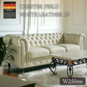 y菈Ή\z AƋ `FX^[tB[h hCcU[gp 3l| \t@ \t@[ v {v U[ Ol| 3P AeB[N p Be[W  e~ 