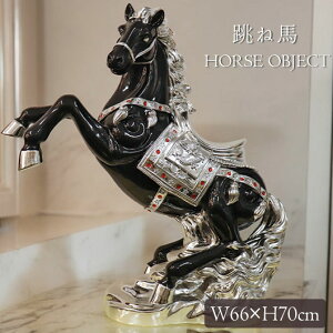 yP×5{/5,000~OFFN[|sI11/11()1F59܂Łz ˔n u n̒u 66cm J^  n n I[ig CeA  LL N   N Vo[  ubN