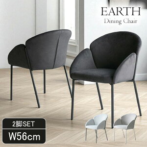 [P5�{��5,000�~OFF�N�[�|���@12��28���܂�] �y2�r�Z�b�g�z���_���_�C�j���O�`�F�A Earth �A�[�X �A�[���t�� ������� �k���� �J�t�F�`�F�A �_�C�j���O�p �O���[ �u���b�N ���C�g�O���[ ����₷��