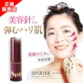 【正規販売店】スピライズ SPIRISE 美容針 バーム ハリ 肌 乾燥 小じわ リフトストレッチャーバーム ヴィワンアークス 正規品 しわ くすみ たるみ 保湿 ヒアルロン酸 コラーゲン 美容 毛穴 まぶた 目尻 ほうれい線 公式